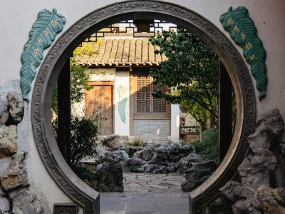 40 field image content images